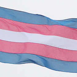 Transgender Flag